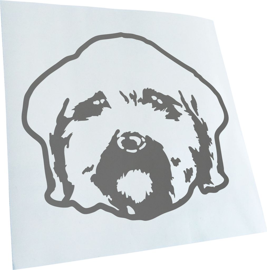 Kiwistar - Autoaufkleber - Maltipoo Hund - Grau - 60x50cm - Aufkleber für Auto, Laptop, Fahrrad, LKW, Motorrad mehrfarbig JDM Decal Racing