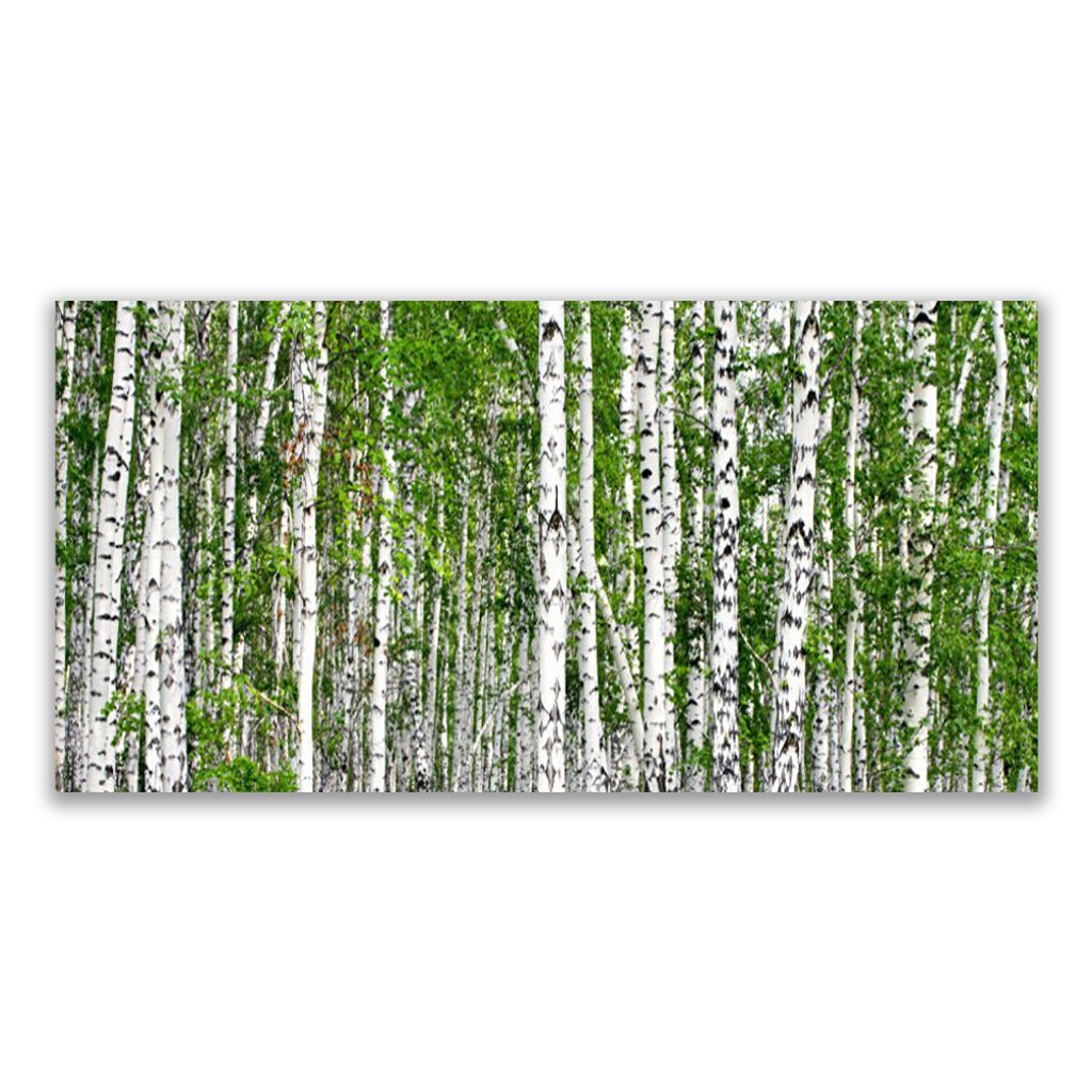 Leinwand-Bilder Wandbild Canvas Kunstdruck 125x50 Wasserfall Baum Natur 