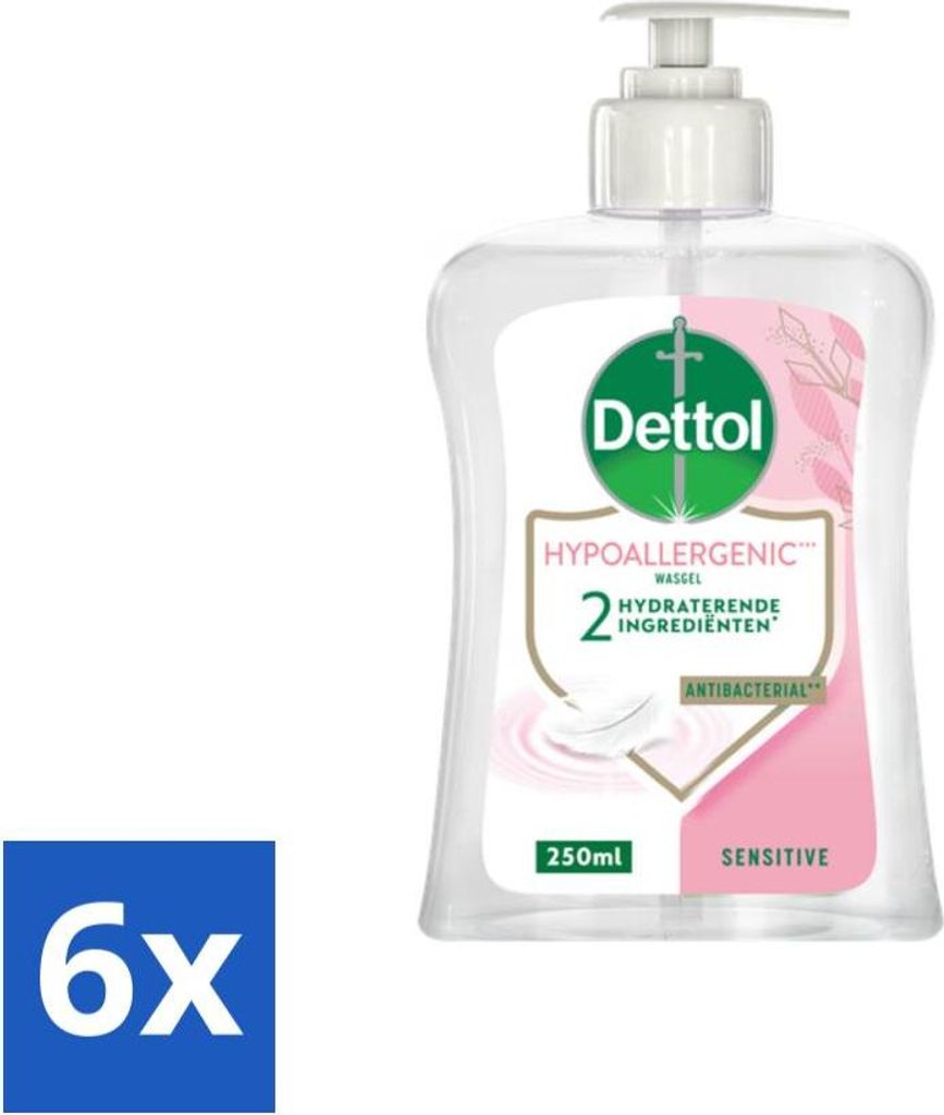 Dettol Handseife – Hypoallergen – Empfindliche Haut – 250 ml - Vorteilspack - 6 Stücke