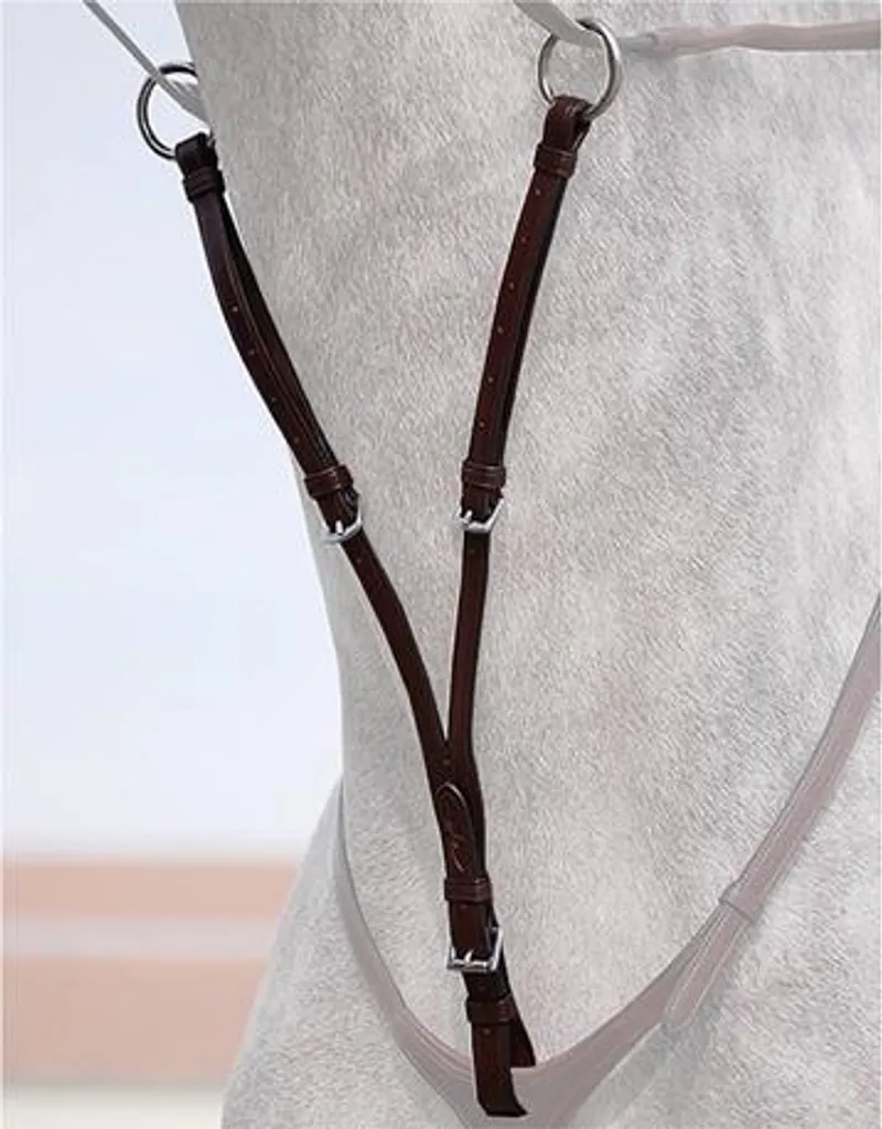Fixation de martingale Dyon New English à anneaux Sang chaud Marron
