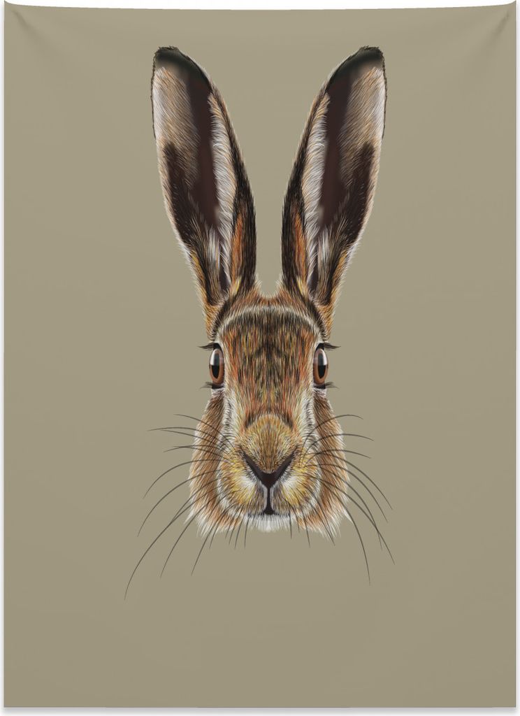 Abakuhaus Hase Wandteppich, Gesicht eines Wild Hare Realistisch aus Weiches Mikrofaser Stoff Kein Verblassen Klare Farben Waschbar, 110 x 150 cm, S...