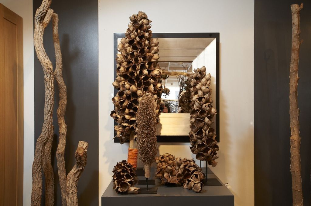 Cacho de Coco ca.120-190cm