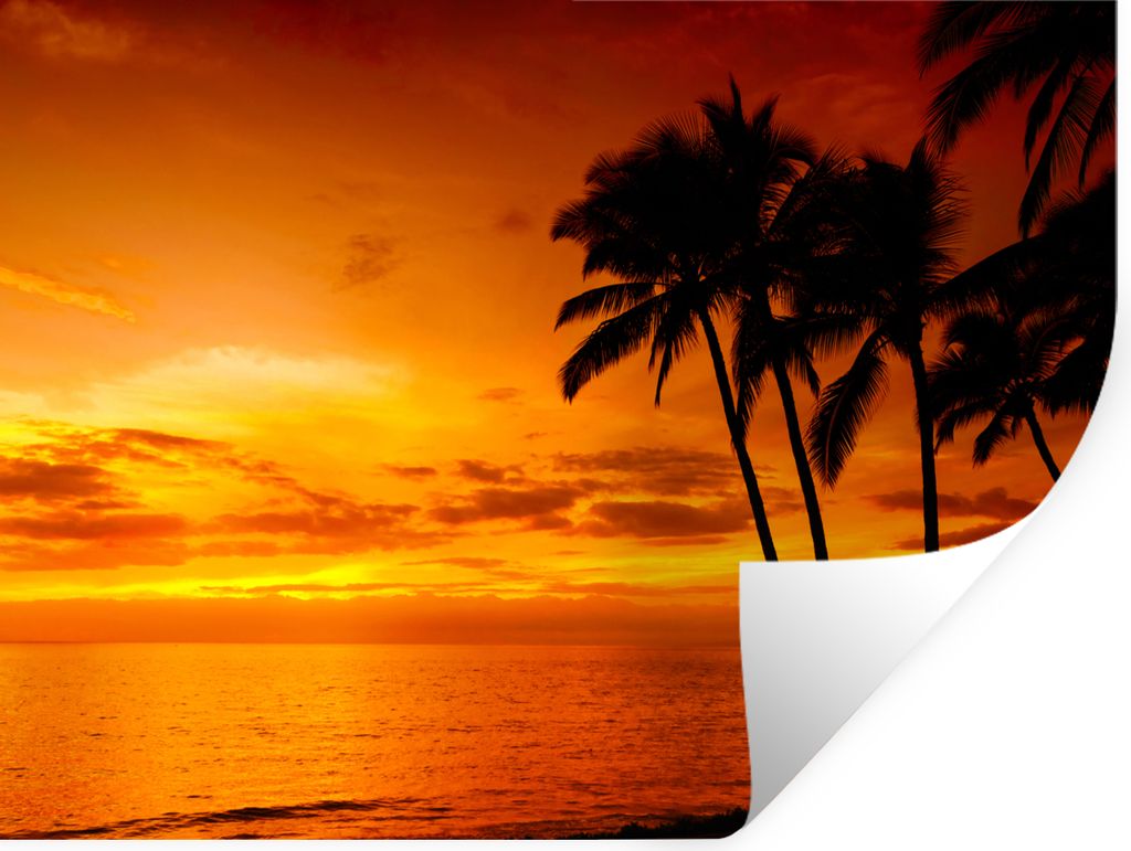 MuchoWow Wandtattoo Wandsticker Wandaufkleber Palme - Sonnenuntergang - Tropisch - Orange - Meer 40x30 cm Selbstklebend und Repositionierbar - Fa...