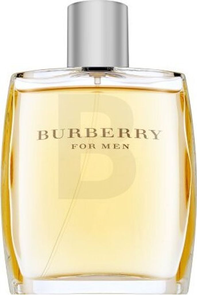 Burberry For Men Eau de Toilette pour hommes 100 ml Image du produit 