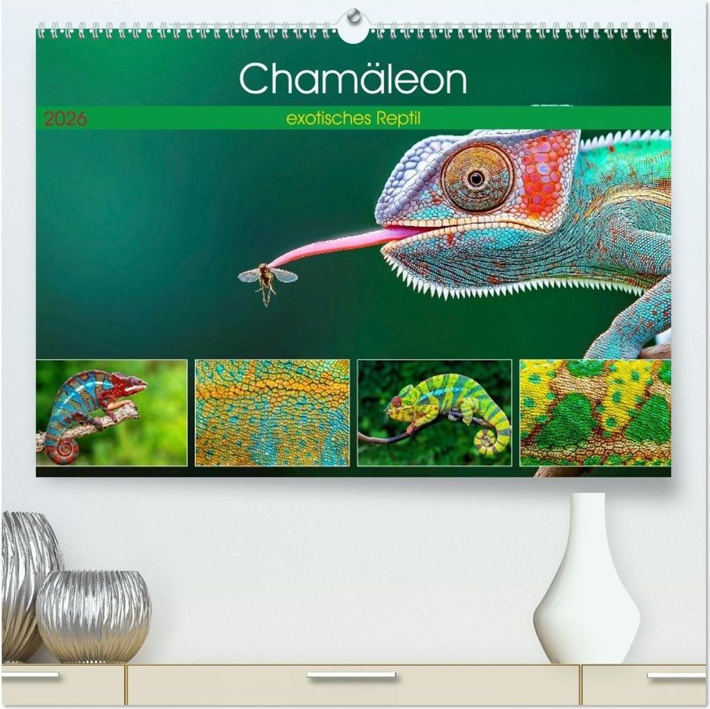 Chamäleon - exotisches Reptil (hochwertiger Premium Wandkalender 2026 DIN A2 quer), Kunstdruck in Hochglanz