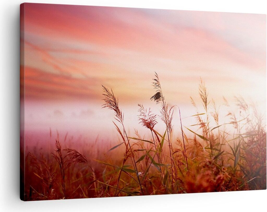 Bild auf Leinwand - Leinwandbild - Wiese Getreide Natur - 70x50cm - Wand Bild - Wanddeko - Leinwanddruck - Bilder - Kunstdruck - Wanddekoration - L...
