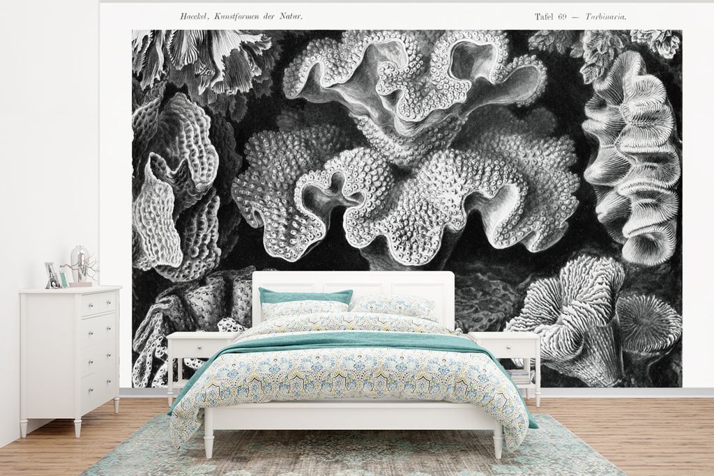 MuchoWow Fototapete für Wohnzimmer oder Schlafzimmer Wandtapete Vinyl Motivtapete Kunst - Koralle - Ernst Haeckel - Alte Meister - Natur - 350x2...