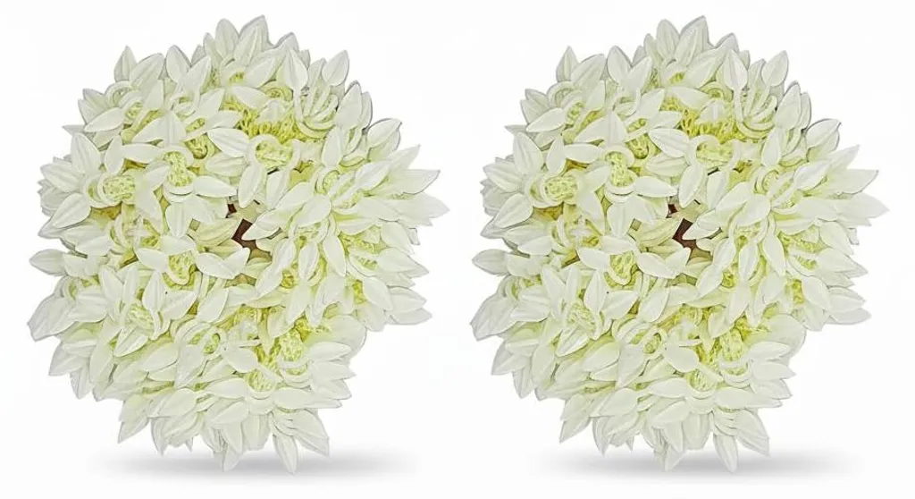 Bandeau à Cheveux Gajra en Fleurs de Jasmin Blanc pour Femmes - 2pcs