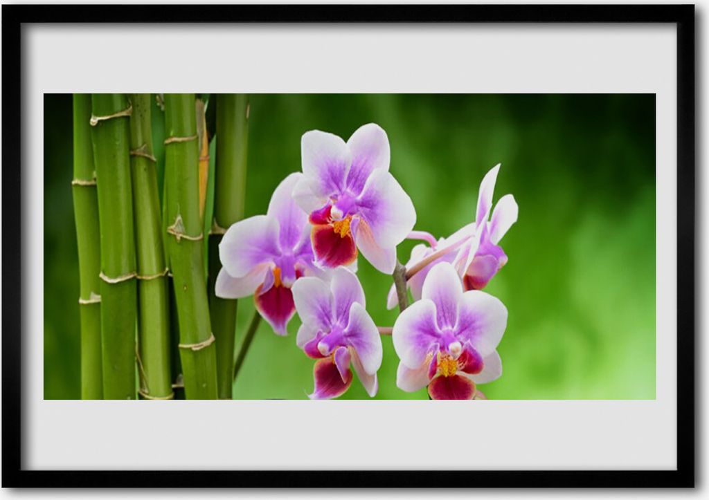 Bild 100x70 MDF-Rahmen Wandkunst Bambus Orchideen-Blumen-Zen