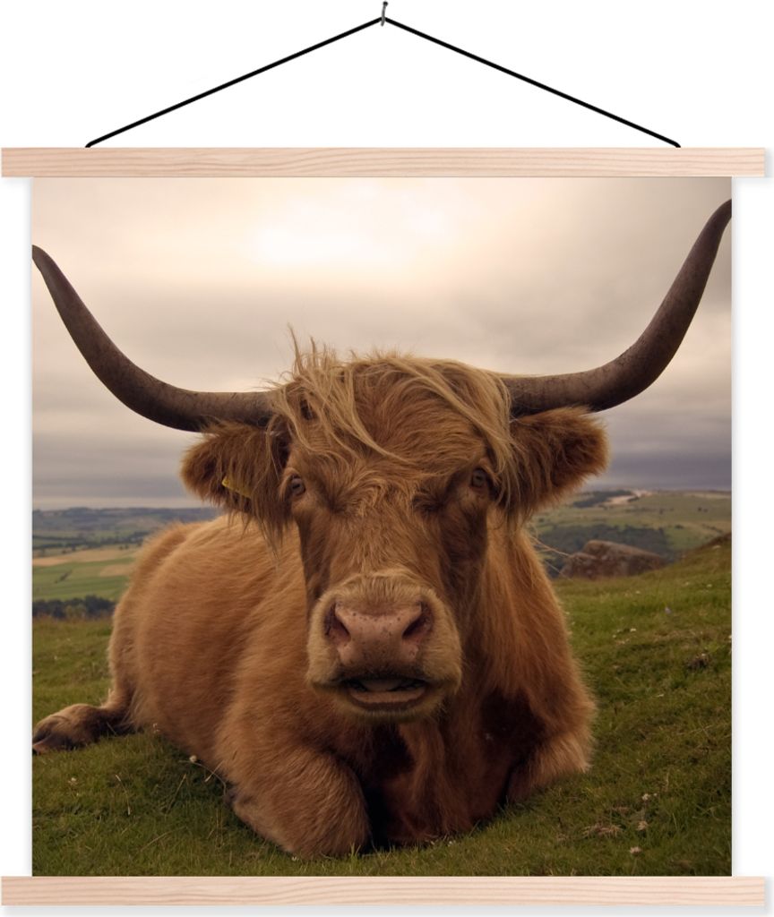 MuchoWow Textilposter Schottisches Hochlandrind - Tiere - Berg 120x120 cm mit holzfarbenen Rahmen - Textil-Poster
