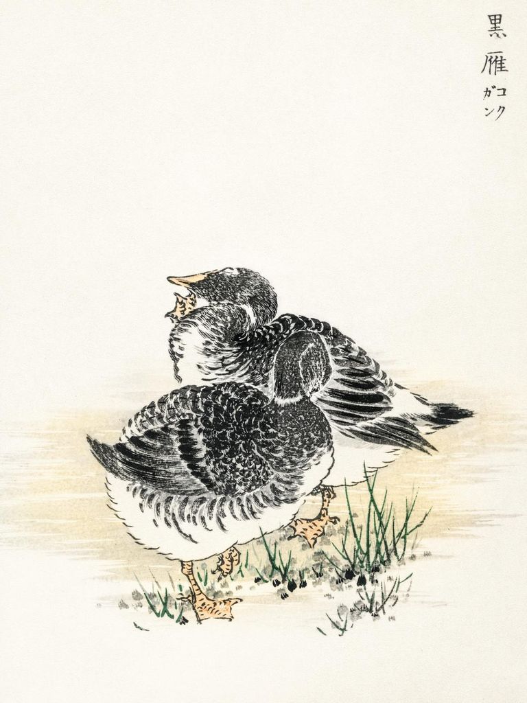 Plakat 30x40cm Black Brant, Japanischer Vintage Kashu für das Wohnzimmer