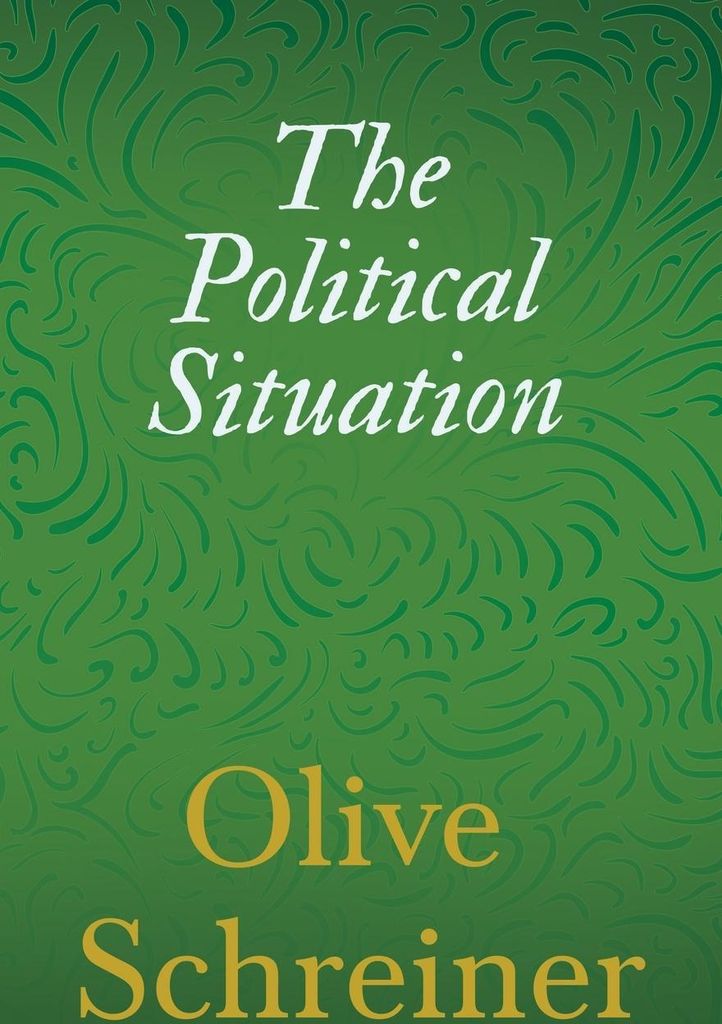The Political Situation