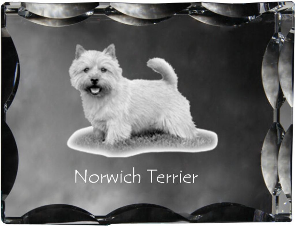 Norwich Terrier - Kristall mit einem Hundebild, Glasstatuette mit einem Bild, einzigartiger Bilderrahmen der Marke Art-Dog