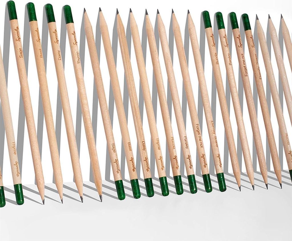 Pflanzbare Holzstifte mit Samen | 32er Pack inspirierende Zitate | Perfektes Geschenk für Lehrer