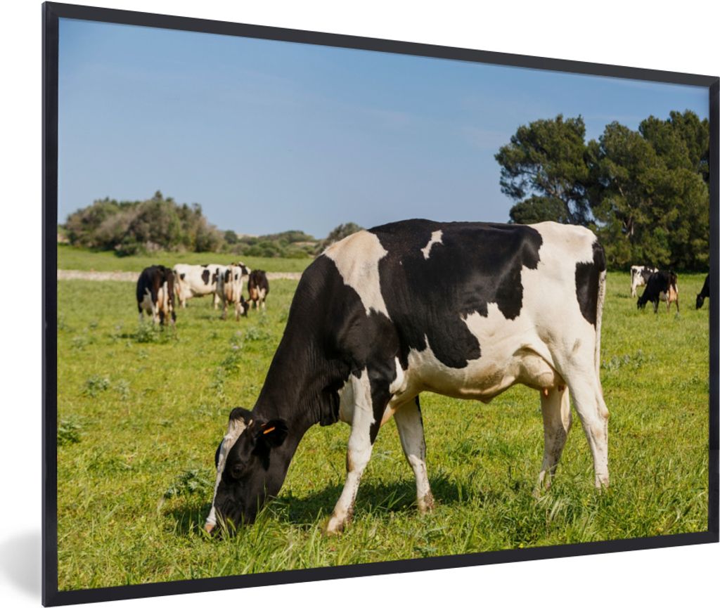 MuchoWow MuchoWow Gerahmtes Poster Kuh - Gras - Tiere - Wald 60x40 cm - Poster mit zchwarzem Bilderrahmen - Printing - Wanddeko Schlafzimmer