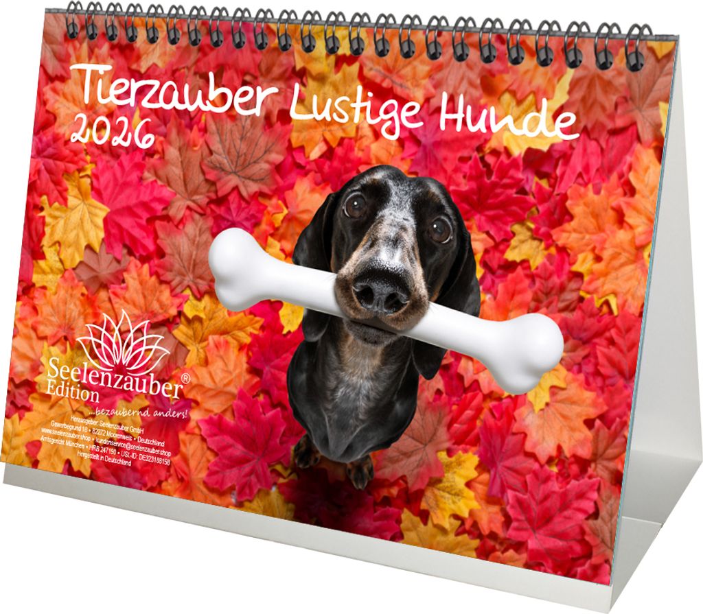 Tierzauber Lustige Hunde DIN A5 Tischkalender für 2026 Welpen und Hunde - Seelenzauber