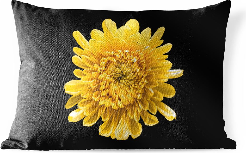 MuchoWow Outdoor Kissen - Eine gelbe Chrysantheme auf schwarzem Hintergrund - 50x30 cm - Wetterfest - Lounge Kissen - Sofa kissen - Wohnzimmer De...