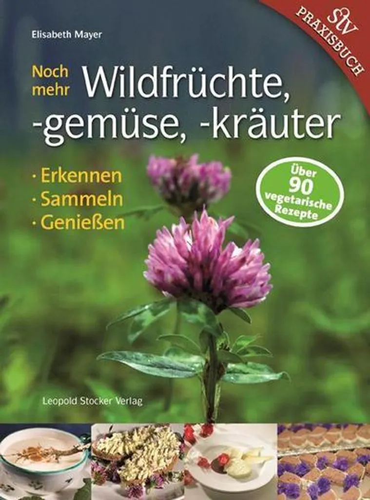 Identifier Plantes Comestibles sans Erreur Guide de Survie et Nature