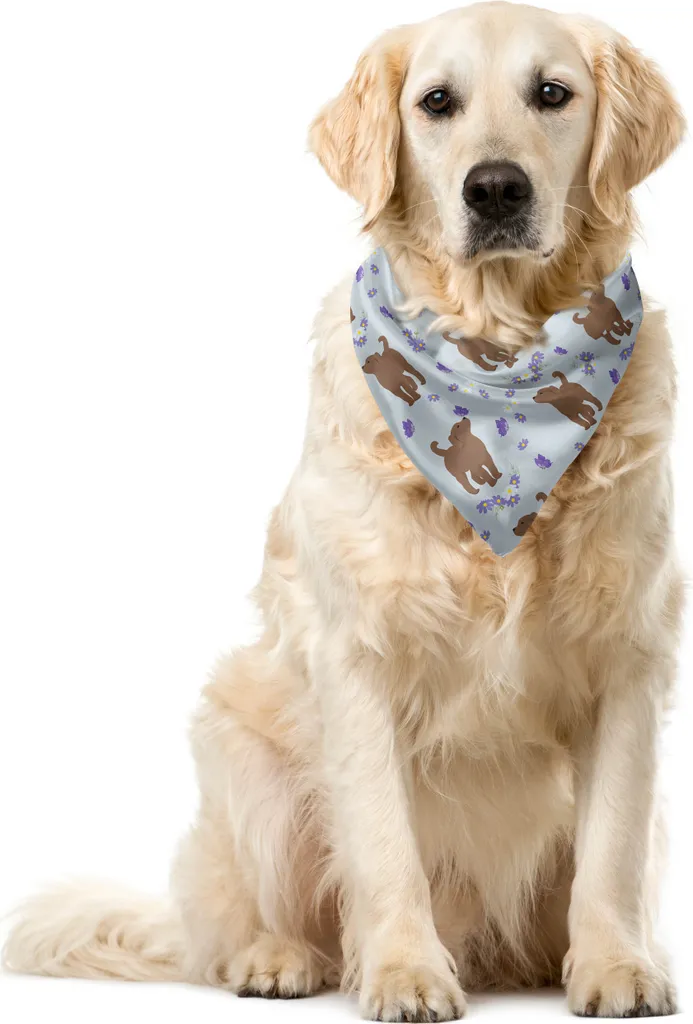 Bandana Regalo per Cani ABAKUHAUS 55x55 - Motivo Floreale Azzurro