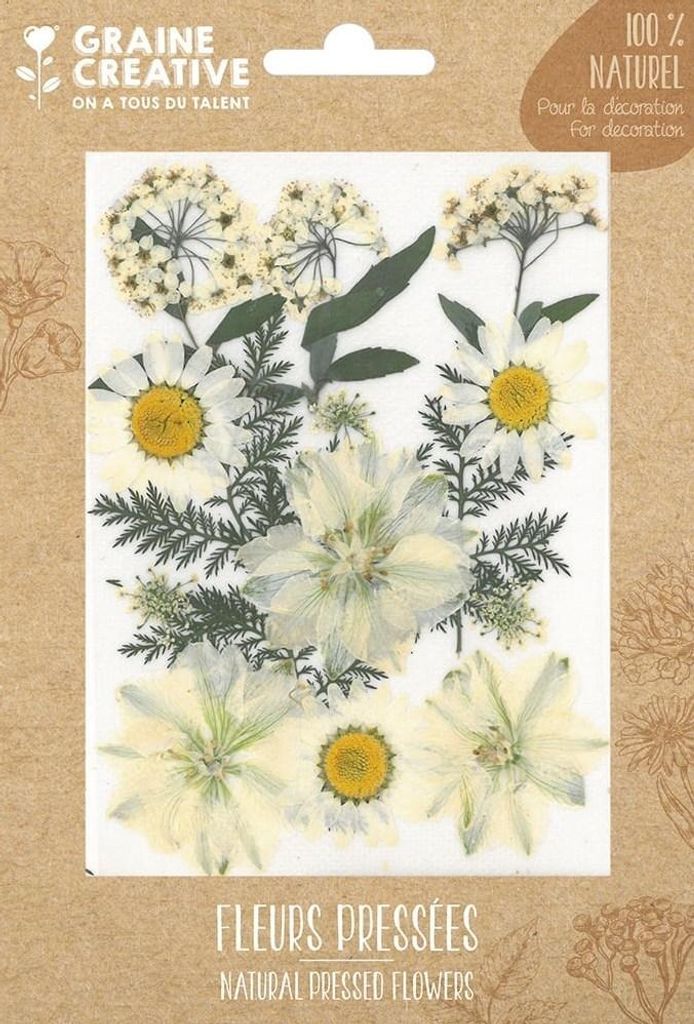 Graine Creative Trockenblumen Bastelset - White Meadow 15 Produktbild 