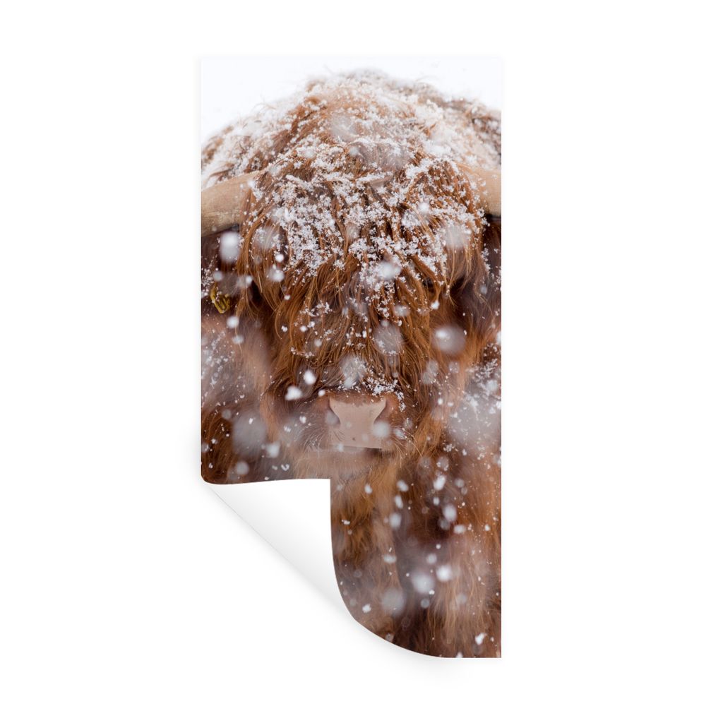 MuchoWow Wandtattoo Wandsticker Wandaufkleber Schottischer Highlander - Hörner - Schnee 60x120 cm Selbstklebend und Repositionierbar - Selbstkle...
