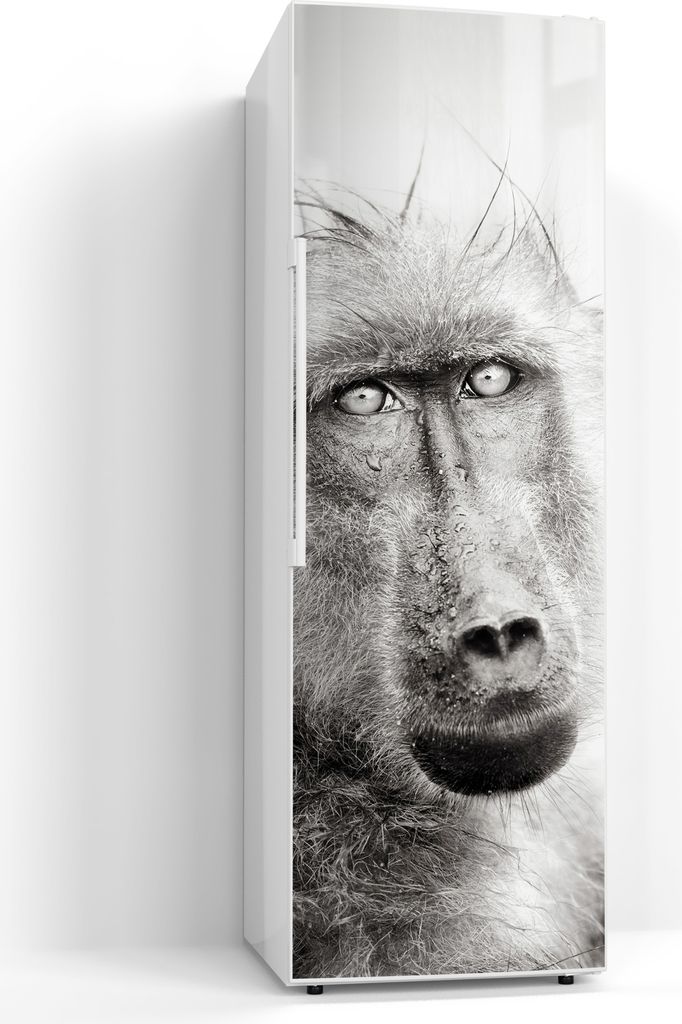 DEQORI Magnetmatte Kühlschrank Standard 60x180 cm 'Blick ins Innere' Magnetfolie