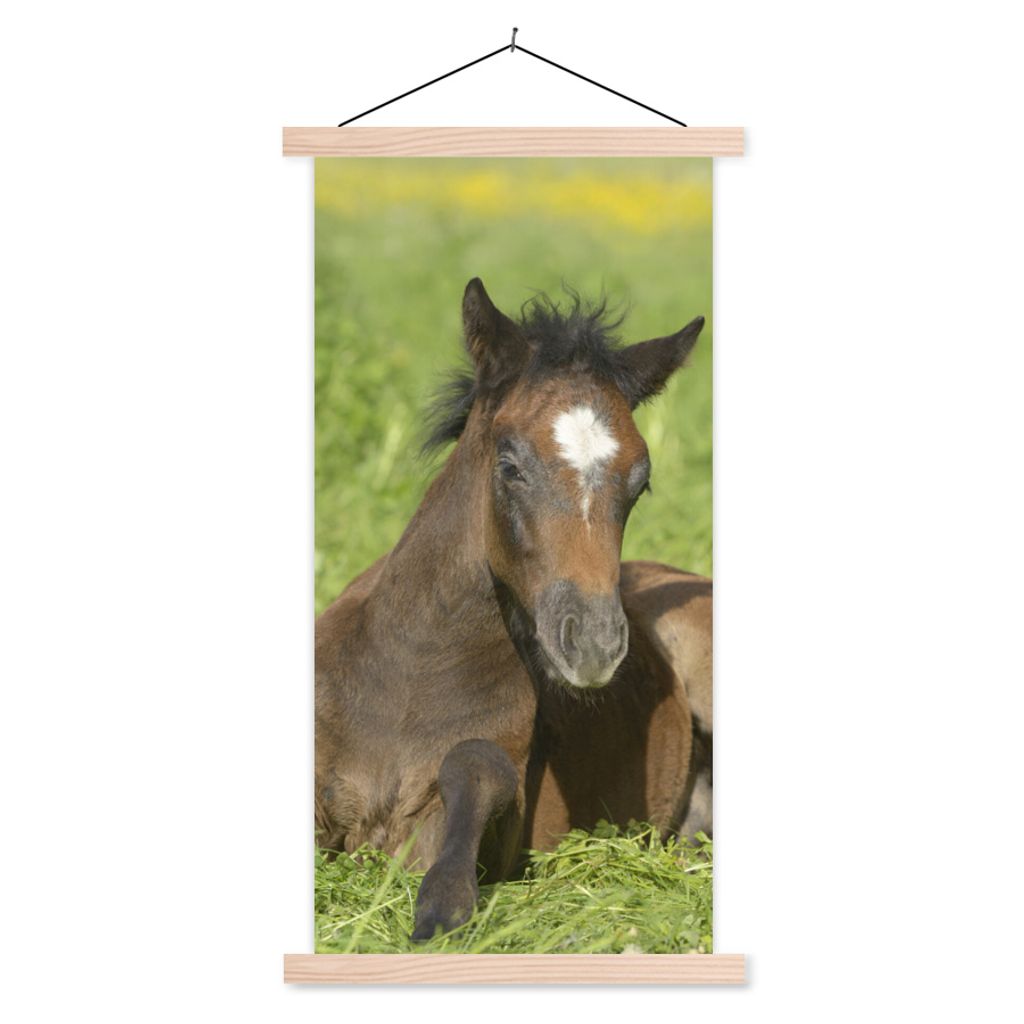 MuchoWow Textilposter Pferde - Licht - Gras 40x80 cm mit holzfarbenen Rahmen - Wohnzimmer