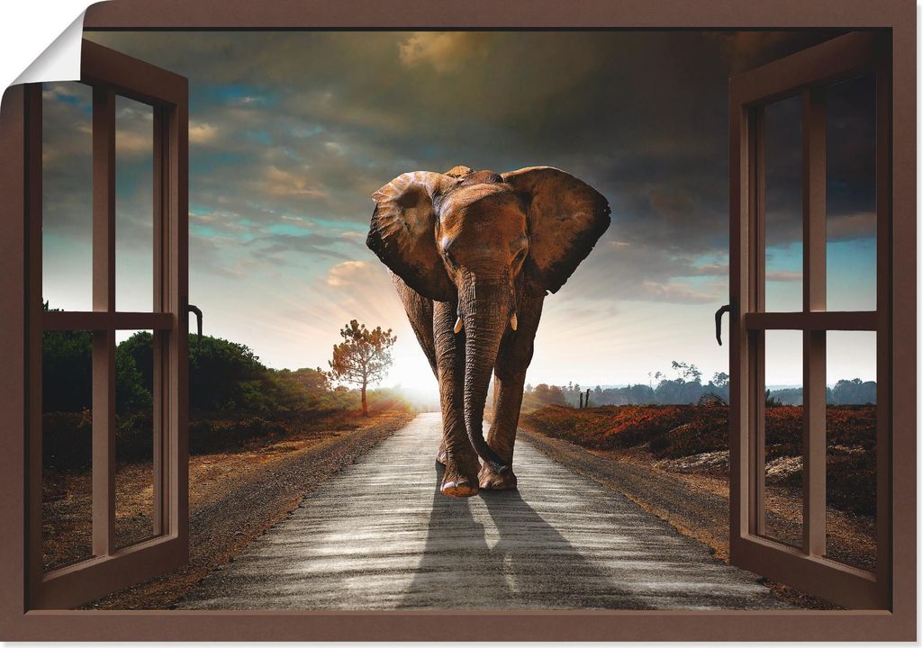 ARTland Poster Elefant auf Straße - braunes Fenster Größe: 70x50 cm