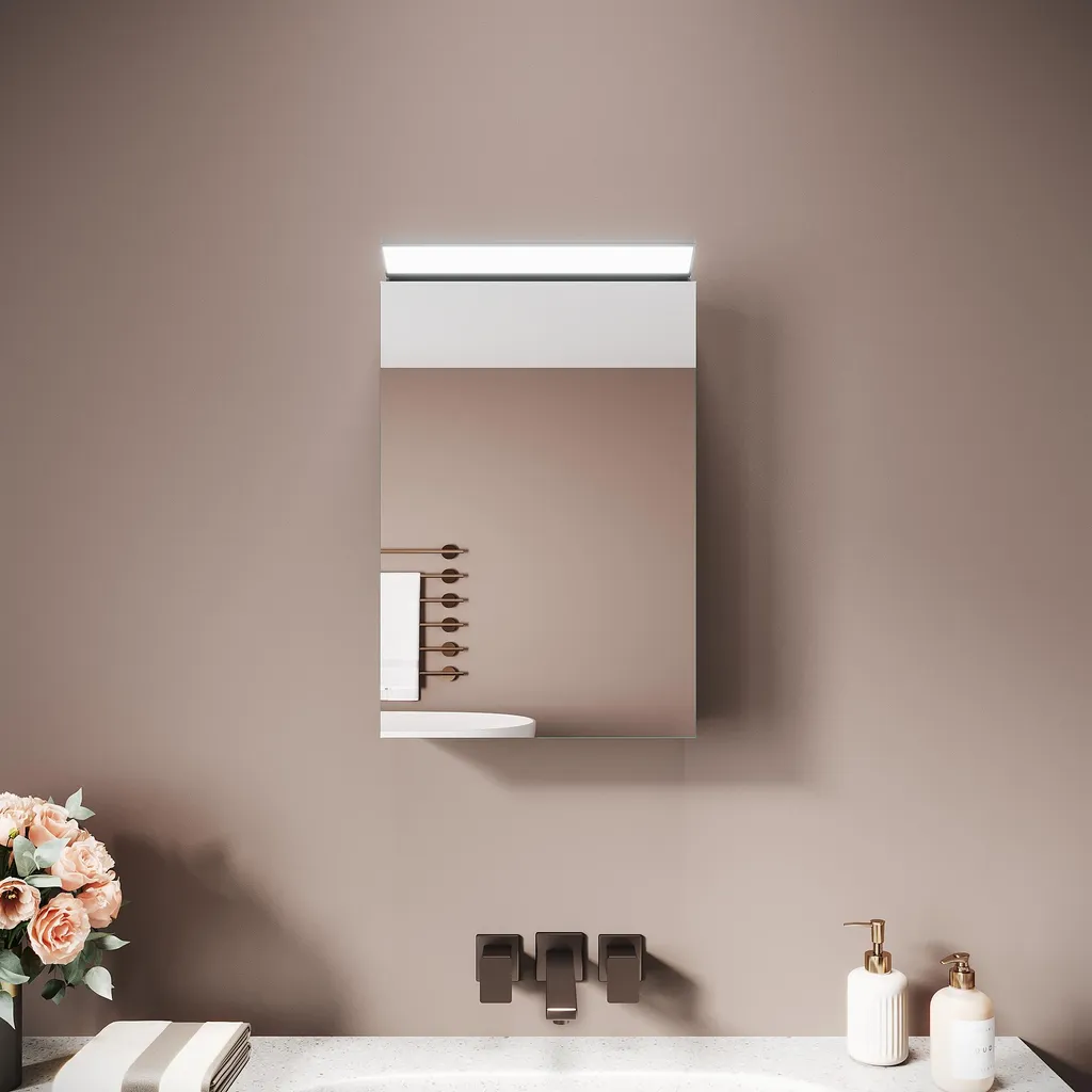Armoire à Glace Murale Compacte pour Petite Salle de Bain Design et Inox
