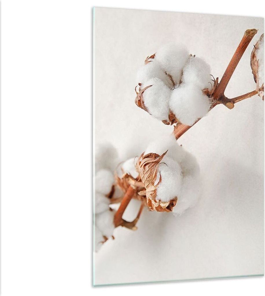 Bilder auf glas - Einteilig - Baumwolle Makro Zweig - 80x120cm - Glasbilder - Wandbilder - Bilder - zum Aufhängen bereit - Wanddekoration aus Glas...