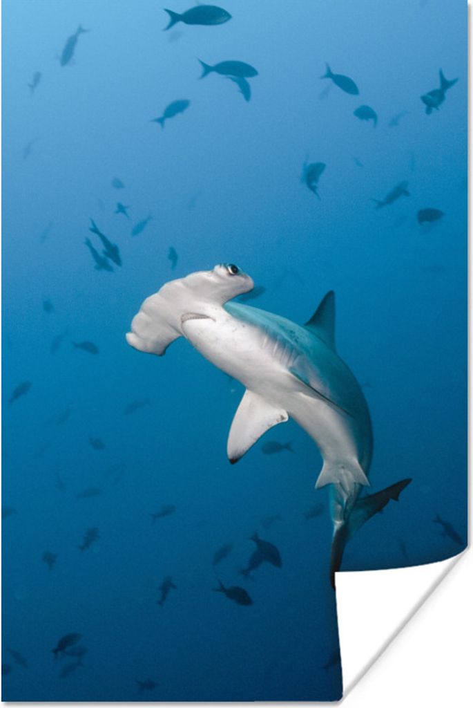 MuchoWow Poster Ein großer Hammerhai in einem dunklen Ozean mit Fischen 60x90 cm - Wanddekoration