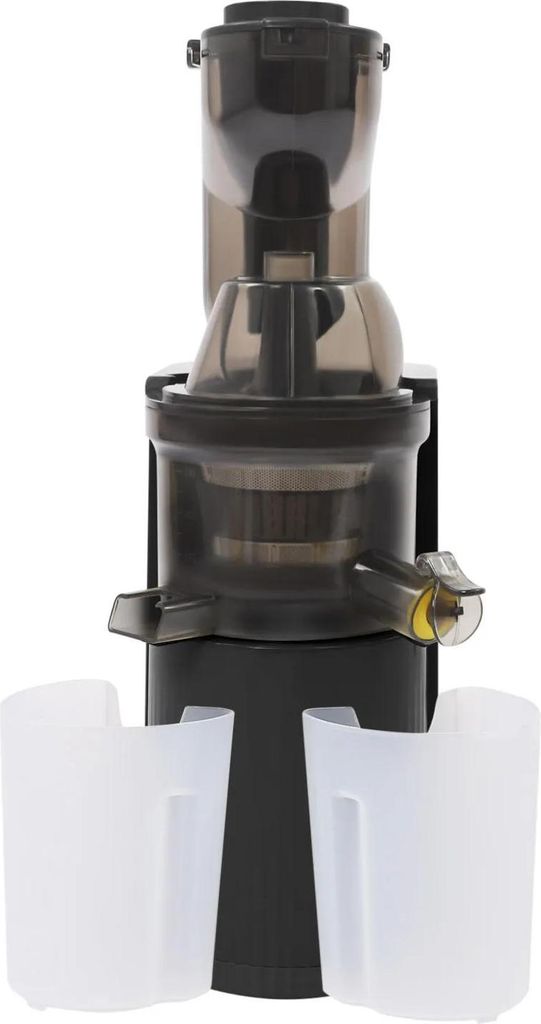 Saftpresse - Elektrischer Entsafter für Obst und Gemüse - 800 W - EU-Stecker - Fassungsvermögen unter 500 ml - Schwarz