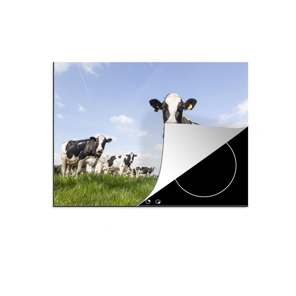 KitchenYeah Herdabdeckplatte Kühe - Gras - Tiere - Sonne - Bauernhof , 75x52cm, Küche Deko, Glaskeramikkochfeld Herdabdeckung, Abdeckplatte fù...