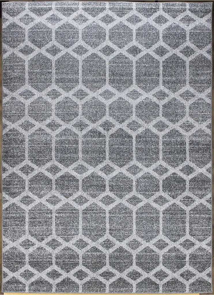 Tapis anti-poussière 140x190 cm Aspect 1167 Silver Grey facile à laver