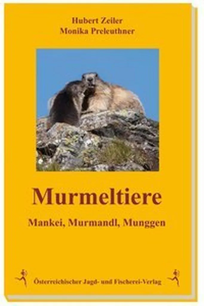 Marmotte Peluche Sommeil Murmeltiere - Compagnon Veilleuse pour Enfant