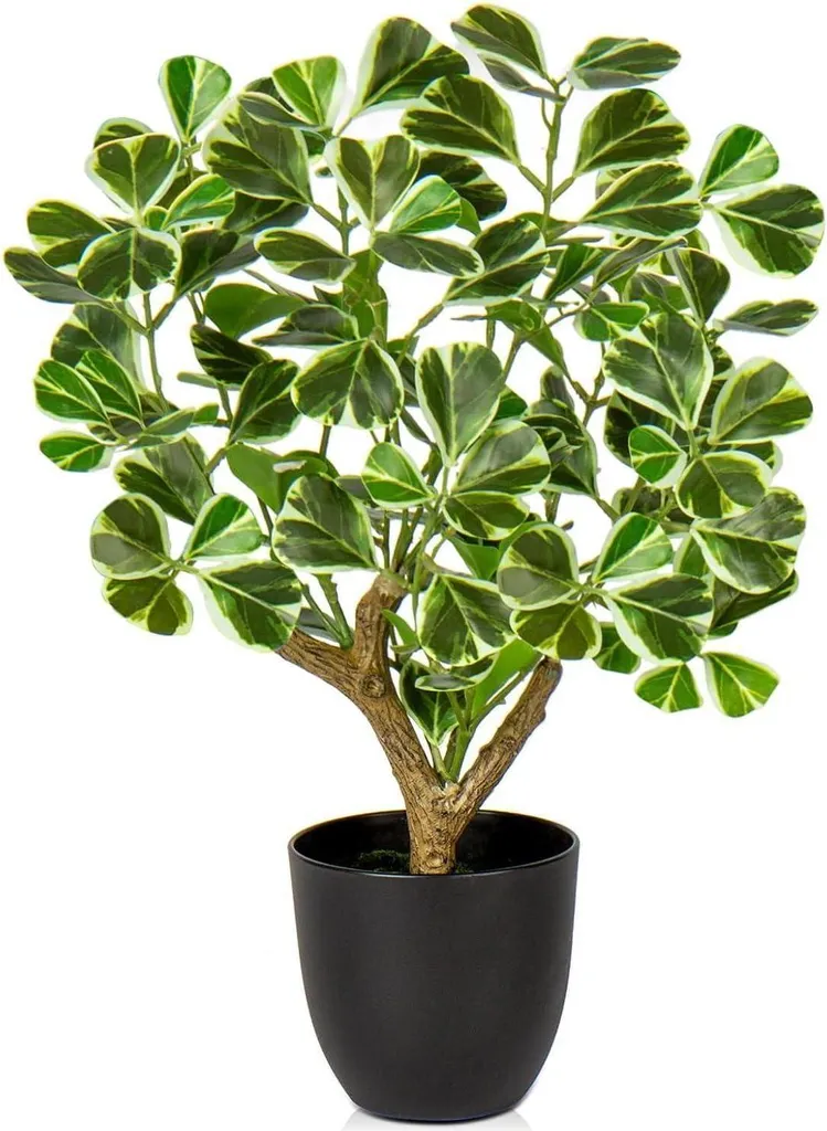 Ficus artificiel bicolore 43cm - Plante verte et blanche pour fenêtre