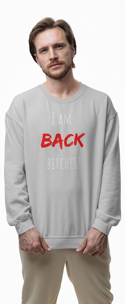 D&B Design Uni Pullover SWEB00026 Back HellGrau-Größe 3XL
