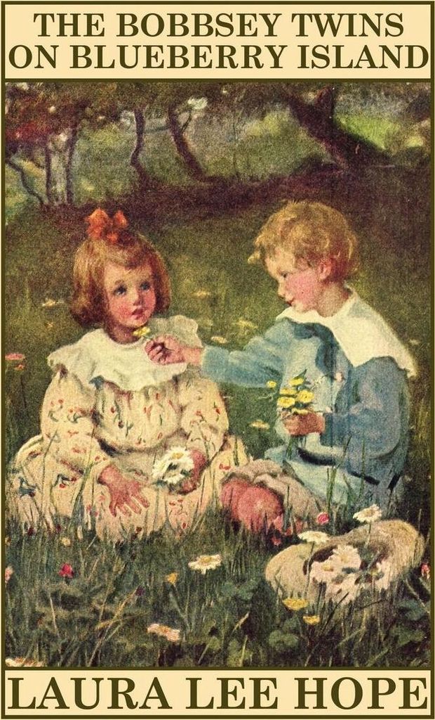 The Bobbsey Twins on Blueberry Island