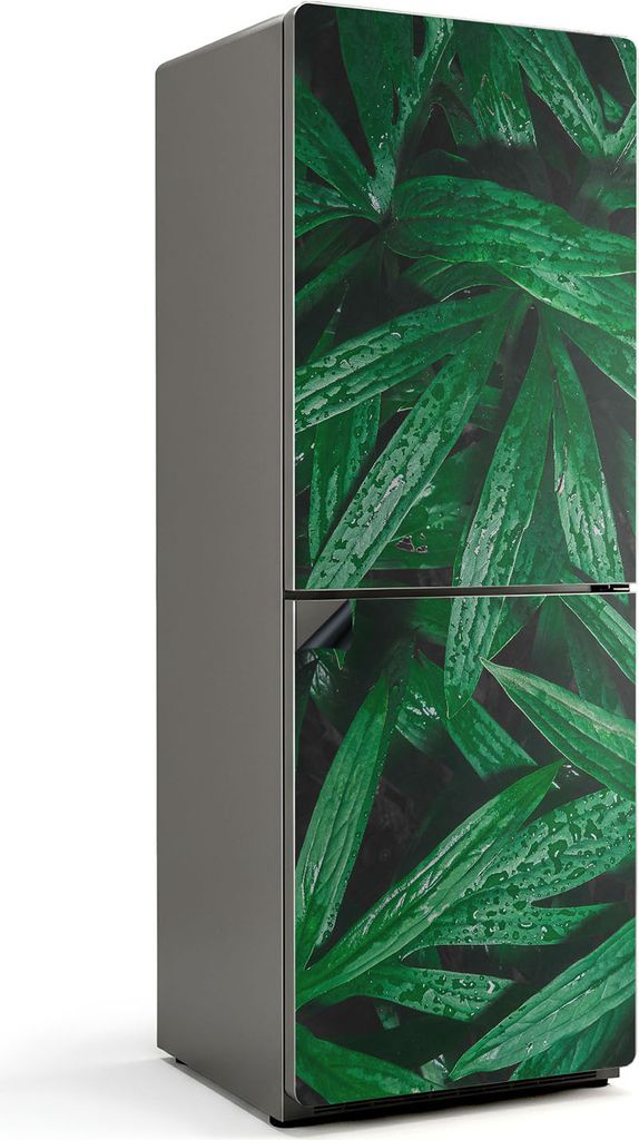 Blätter mit Wassertropfen – Magnetische Kühlschrank Abdeckung – Dekorfolie magnetisch Küche – Kühlschrank Magnet Deko – selbstklebende ...