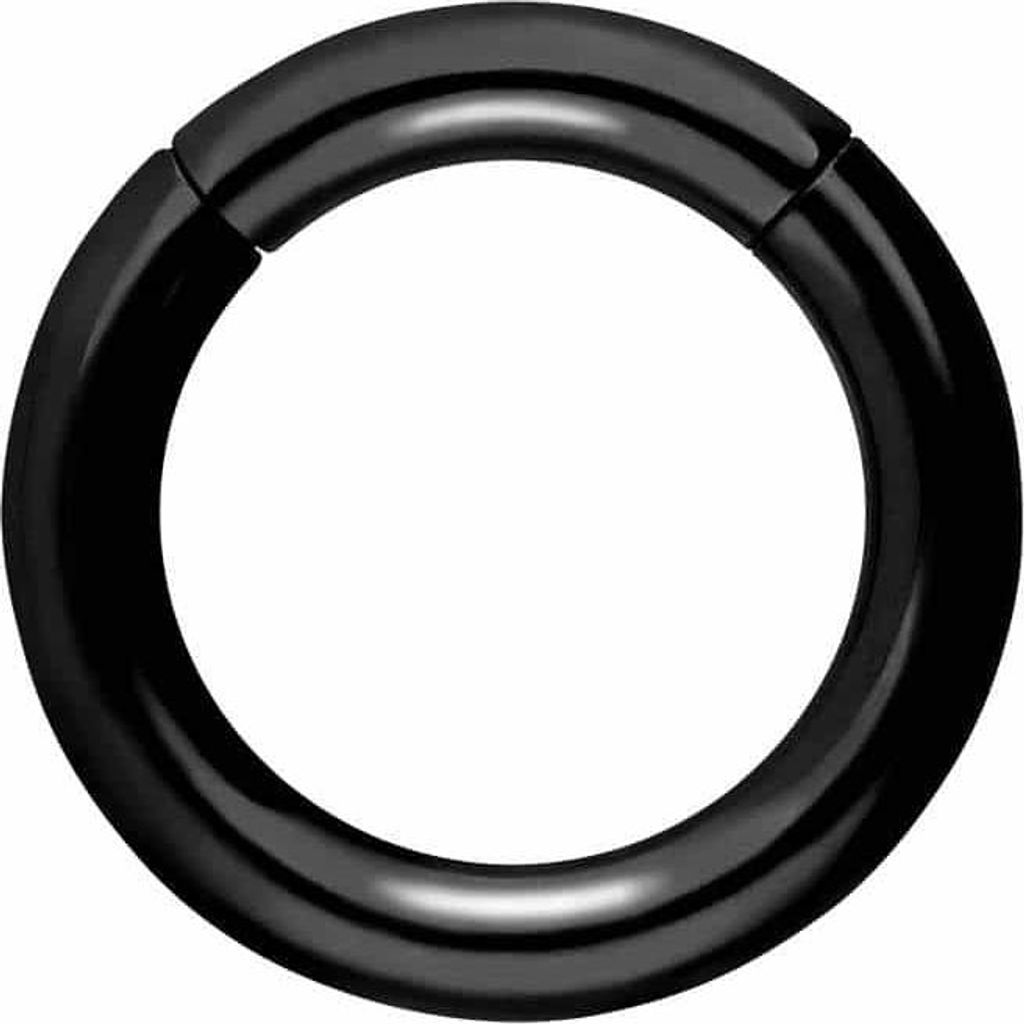 Ohrpiercing, Nasenpiercing, Septum Piercing Titan Segmentring Clicker Schwarz Innendurchmesser: 12mm + Stabstärke: 3mm