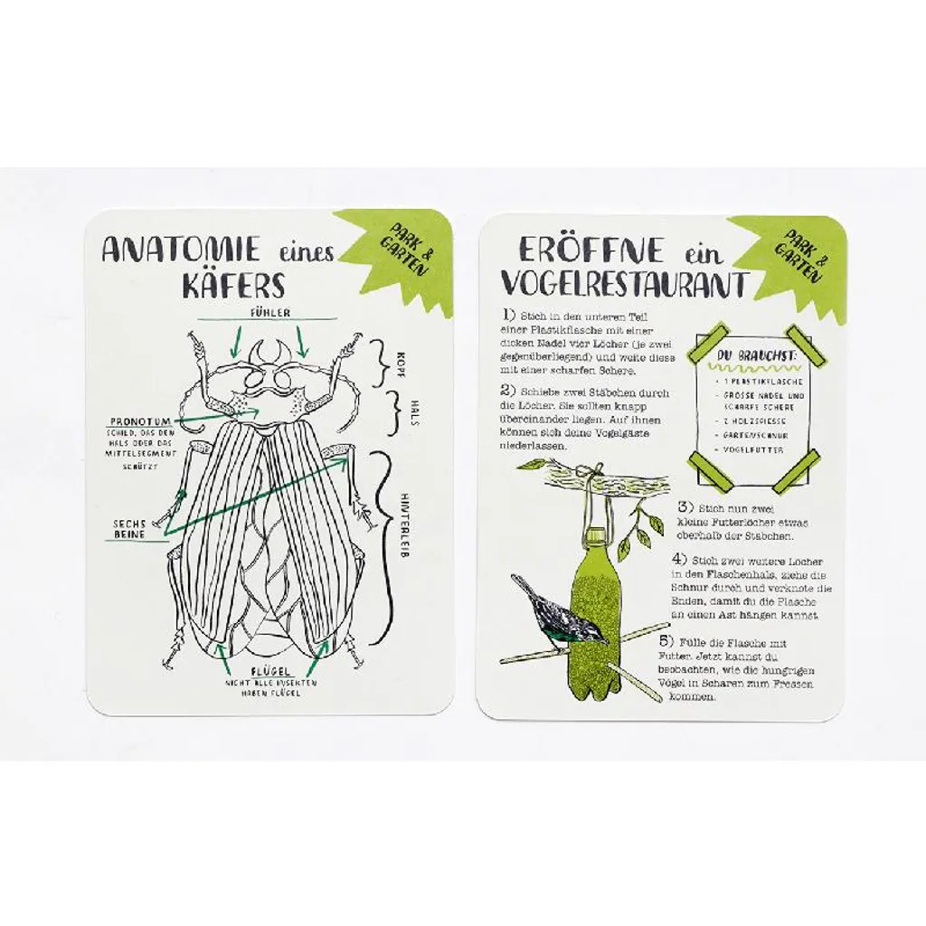 Cartes Hello Nature illustrées : kit d'exploration ludique et durable - 7