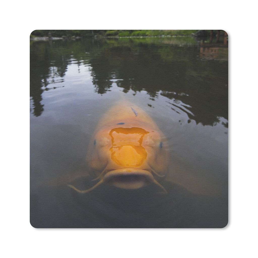 MuchoWow Mauspad Mousepad Ein riesiger Koi-Karpfen im Wasser 20x20 cm - Mousepads - Maus Mat - Pad - Mausunterlage - Desk Mat - Bureauartikeln