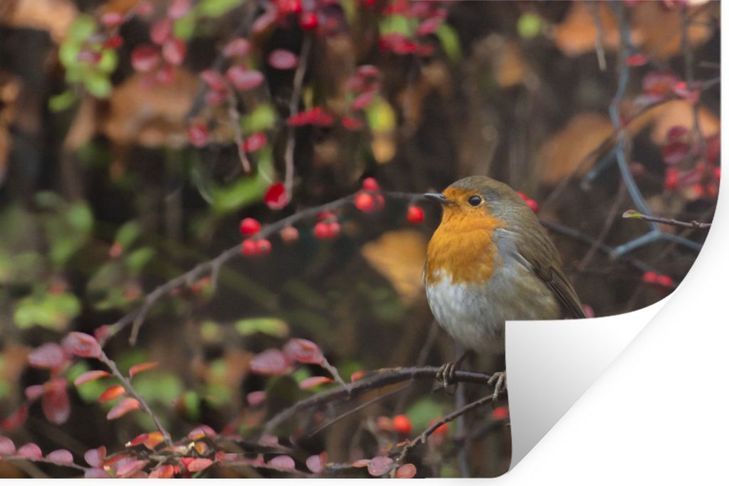 MuchoWow - Wierderverwendbar - Selbstklebend