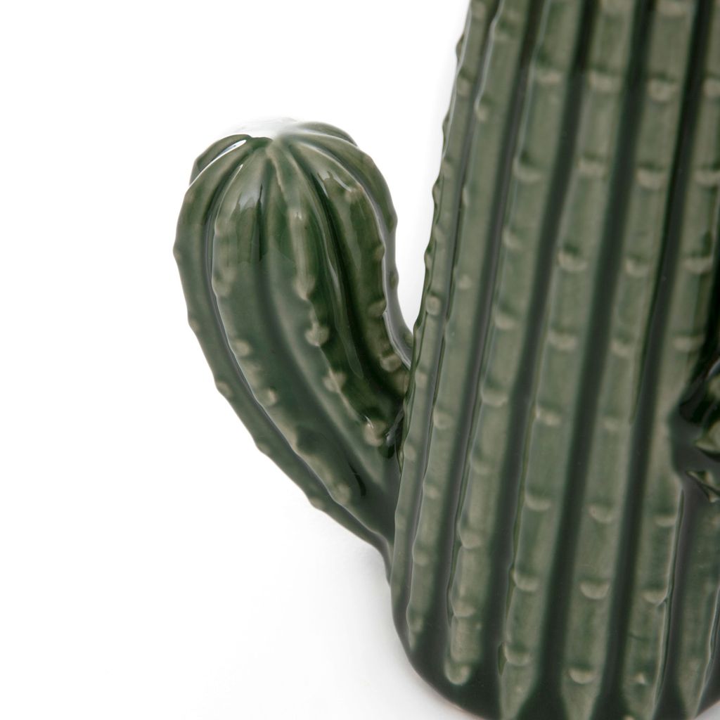 blumentopf fr monstera gro Monstera deliciosa XXL | Online kaufen