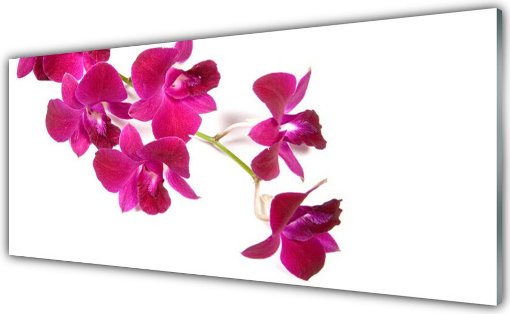 Küchenrückwand aus Glas 125x50cm Spritzschutz Blumen Pflanzen