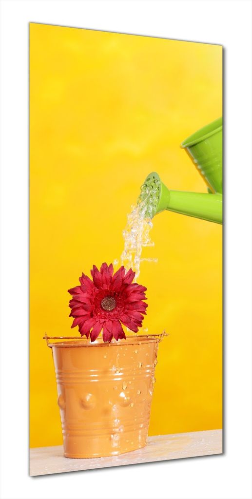 Wallario selbstklebende Duschrückwand 80 x 180 cm mit Motiv Rote Blüte im Blumentopf - frisch begossen - Wandverkleidung mit Hochglanzlaminat in ...