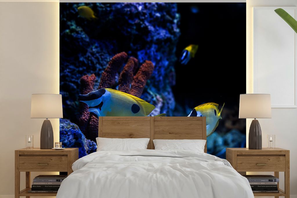 MuchoWow Fototapete für Wohnzimmer oder Schlafzimmer Wandtapete Vinyl Motivtapete Aquarienfische in einem Aquarium in Singapur. - 220x220 cm - T...