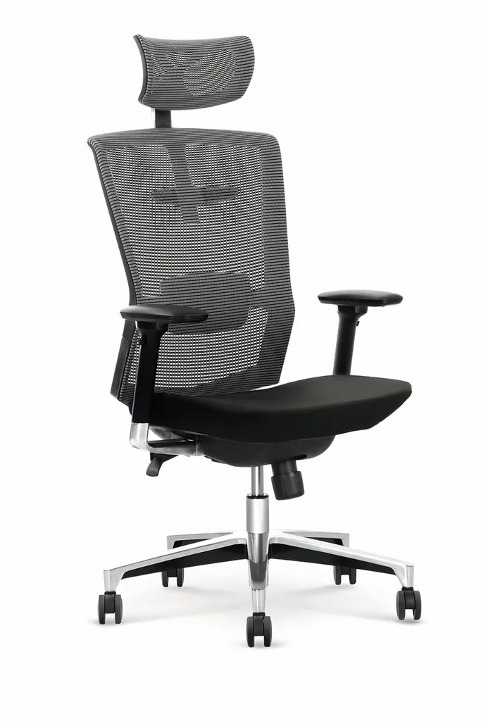 Fauteuil de bureau Ambassador : siège de direction ergonomique en cuir