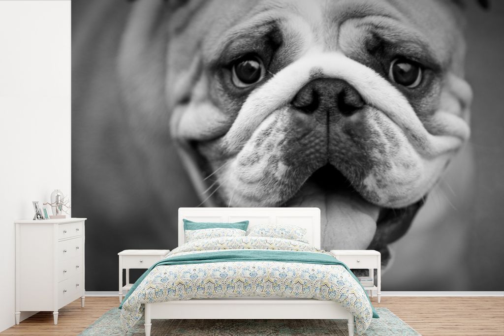 MuchoWow Fototapete für Wohnzimmer oder Schlafzimmer Wandtapete Vinyl Motivtapete Tierprofil Bulldogge in schwarz und weiß - 390x260 cm - Papie...