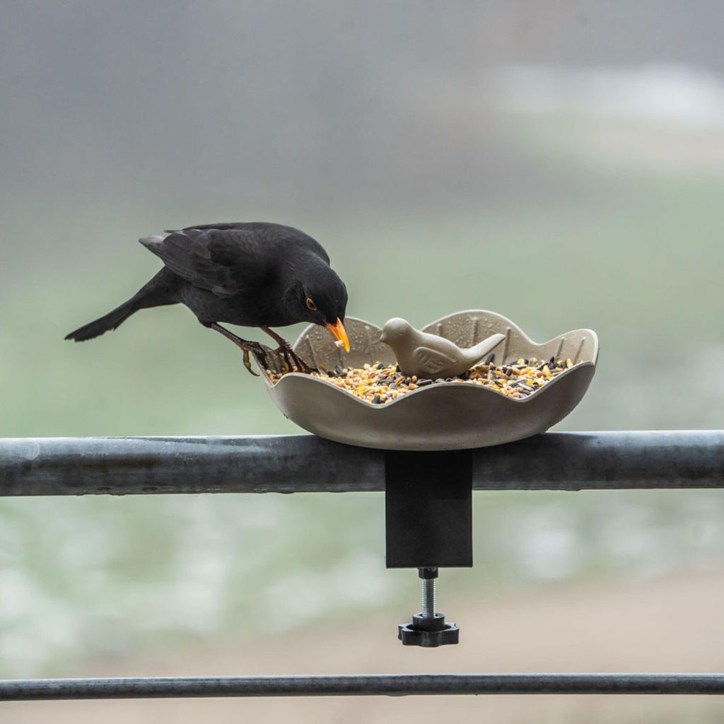 CJ Wildlife Vogelfutterspender Balkon - platzsparend, Produktbild 